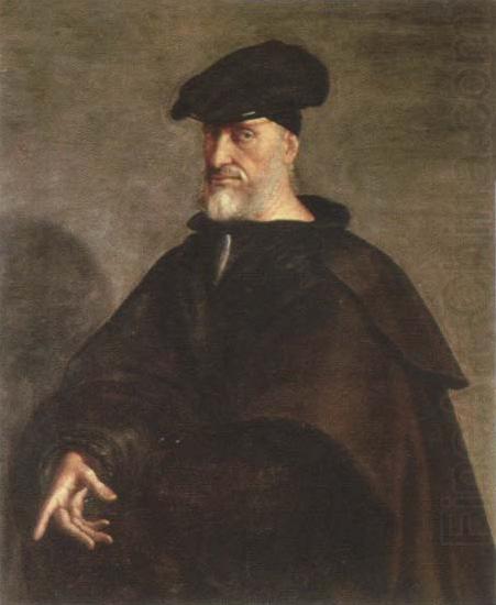 portrait of andrea doria, Sebastiano del Piombo